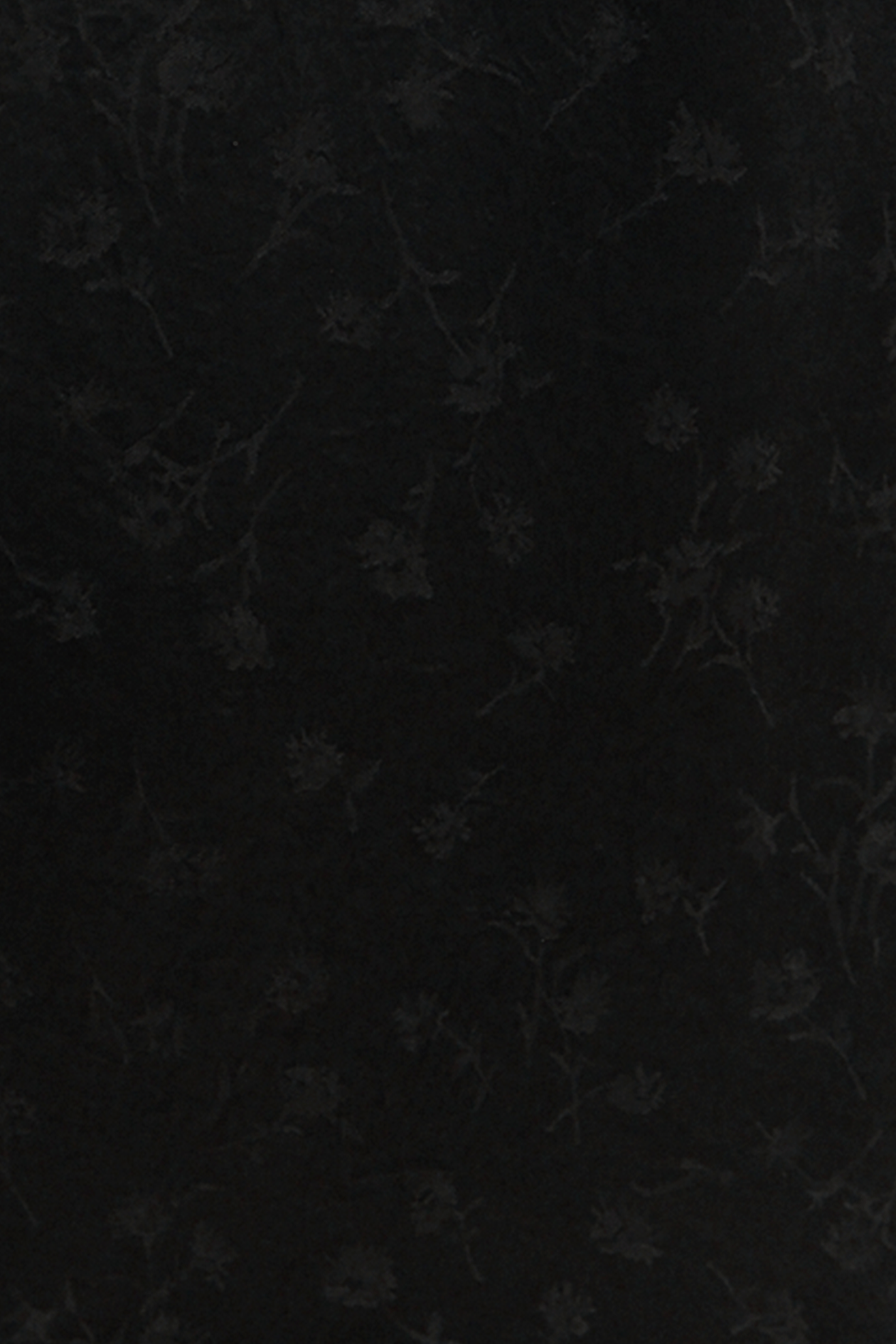 Bram Jacket in Jacquard Satin