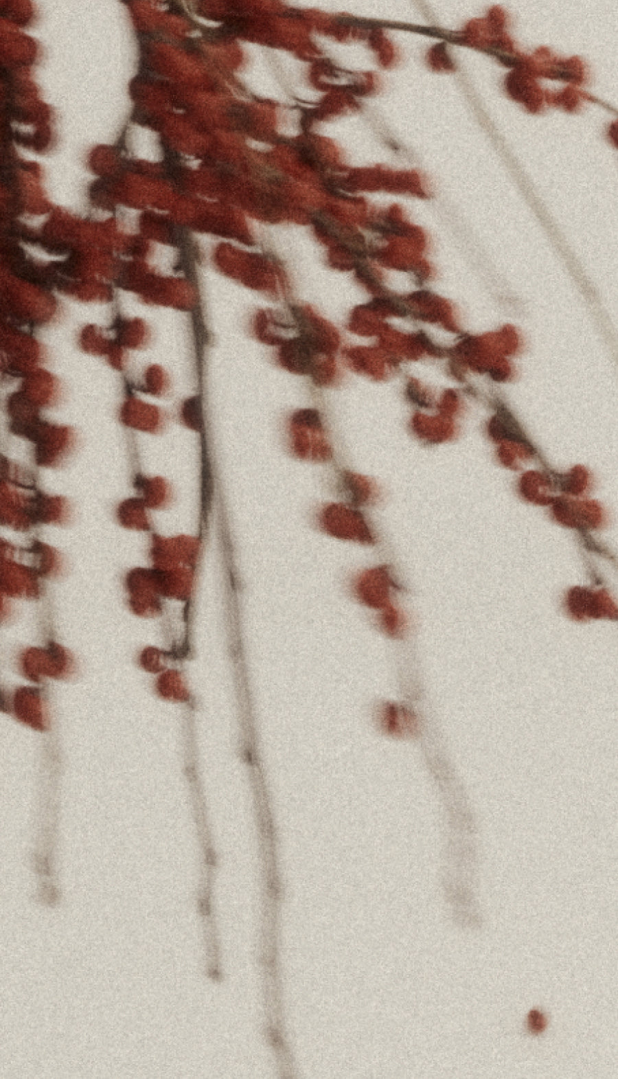 An Ode To Warm Weather