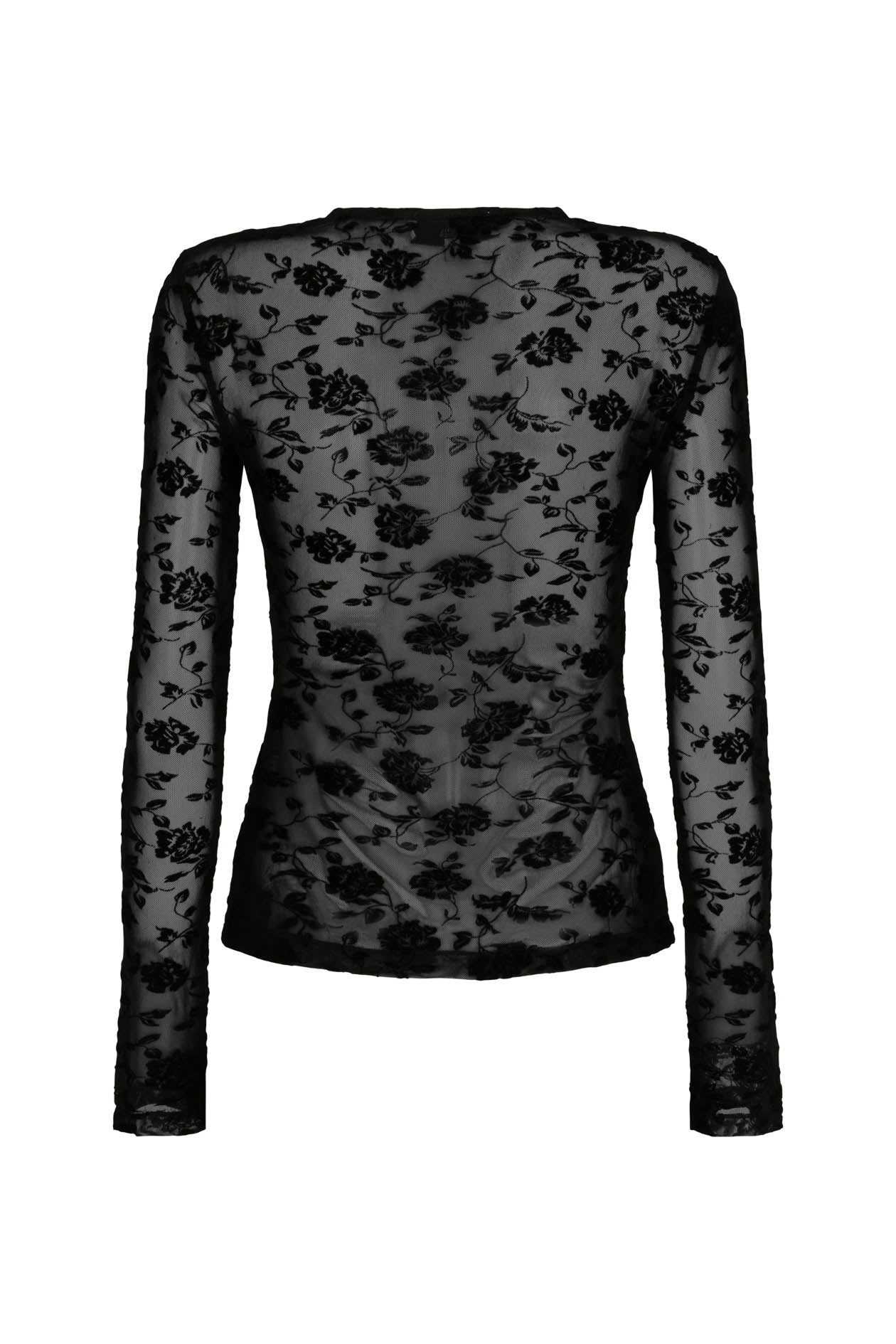 Darvos Top in Mesh Velvet